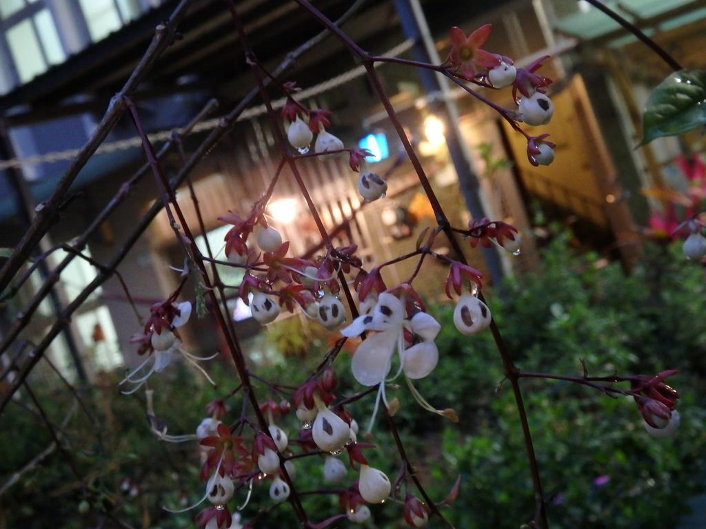 Tainan Guest House Hamuya Buitenkant foto